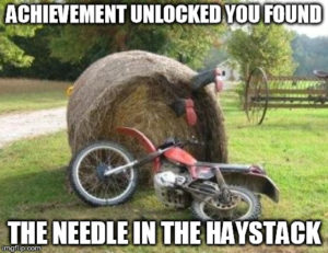 needle-in-a-haystack